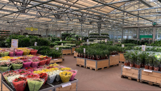Garden Outlet - Hisings Kärra